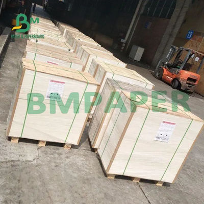 C1S White Coated Duplex Board Grey Back 450g Ketebalan Tinggi Untuk Kemasan