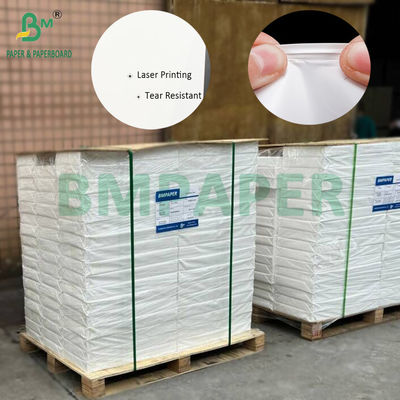230mic 250mic Double Sided Laser Printing Synthetic Paper SRA3 Ukuran 320 X 450mm