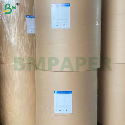 PE dilapisi cup anti bocor stok kertas gulungan untuk minum 190gsm + 10gsm
