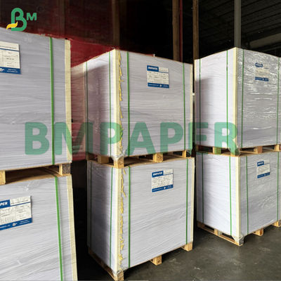 Kertas berlapis air untuk cangkir dengan lapisan penghalang air 280g+10g