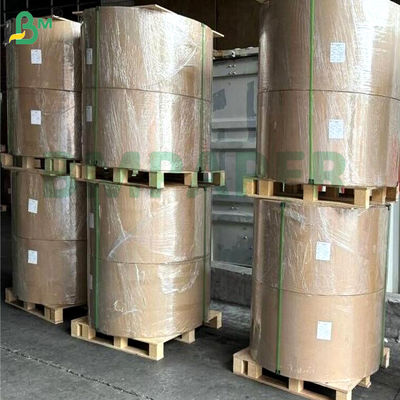 PET tahan minyak tahan air putih satu sisi dilapisi kertas papan 200gsm 300gsm 400gsm Untuk kotak makanan microwaveable