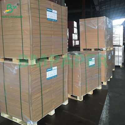 Kertas Cat Air Kualitas Seniman Tekstur Jelas Putih 140LB 22"X30"