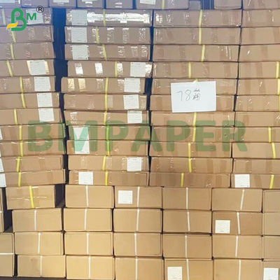 Gulungan Kertas Kalkir Semi-transparan Kekakuan Tinggi 53-285gsm