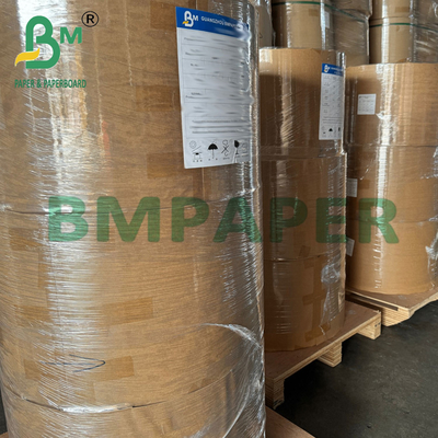 Gulungan Kertas Filter Kopi Cokelat Kompos yang Aman untuk Makanan 21 - 28gsm 440mm