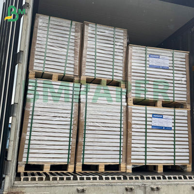 Kertas Lipat Tahan Beku yang Dapat Dicetak 300g 350g 900mm 1000mm Untuk Kotak Makanan Beku