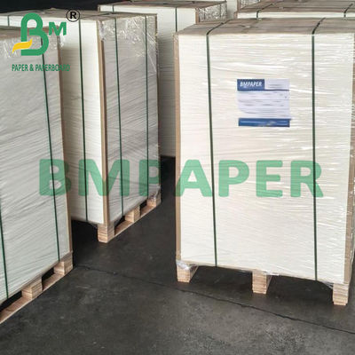 Kertas Blotting Ramah Lingkungan Ketebalan 0.7mm dengan Daya Serap Tinggi untuk Pencetakan