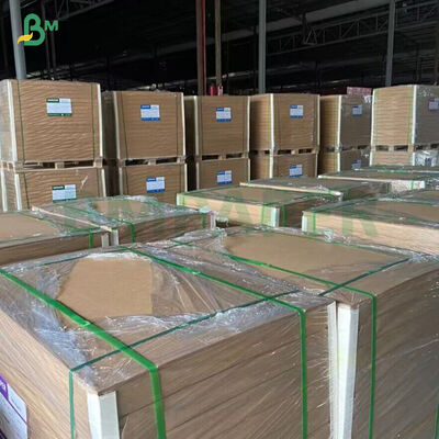 260GSM+ 18GSM FDA Bamboo Kraft Paper Degradable Dengan PE / PLA Coated Cup Stock Paper