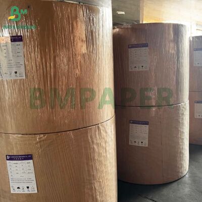 Single Side Glossy C1S Cardstock 16pt 18pt 24pt Untuk Kemasan Blister Clamshell