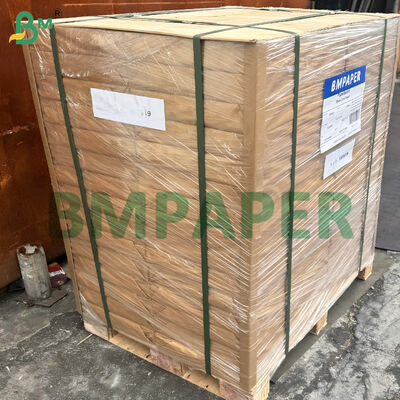 Kertas Sampul Berlapis Sisi Ganda 370lb 12" X 18" Warna Putih