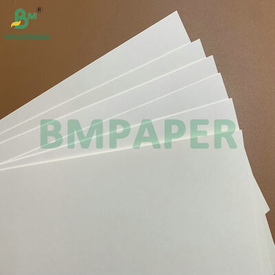 Kertas Karton Putih Berlapis C1S Berisi Tinggi 275gsm 325gsm Kontak Makanan untuk Piring Sekali Pakai & Baki Makanan