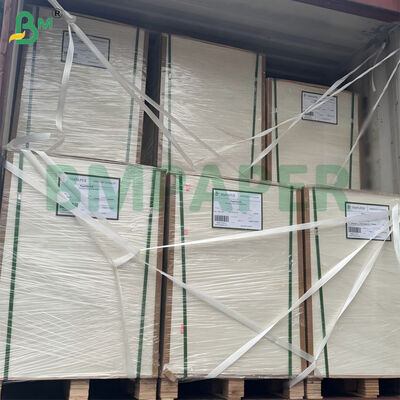 300gm Gula Gula Gula Bagasse kertas pulp Biodegradable Certified 787mm X 1092mm