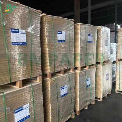 Kertas Dasar Mangkuk Kertas Dilapisi PE Sisi Ganda Food Grade 250–350gsm Untuk Ember Mie Instan