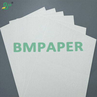Bahan Baku Kertas Cup Single Side PE Coated 190GSM 220 GSM Berkualitas Tinggi untuk Mesin Pembuat Cup Otomatis
