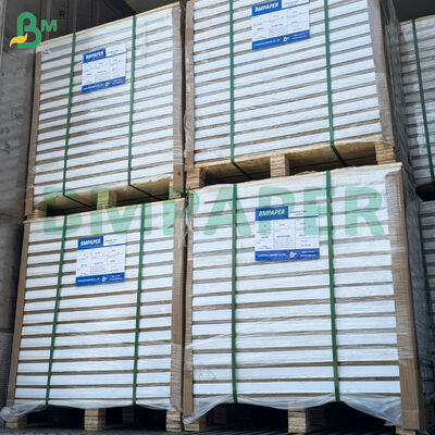 170gm Dua Sisi Dilapisi Glossy Art Paper Jumbo Rolls 38 " lebar