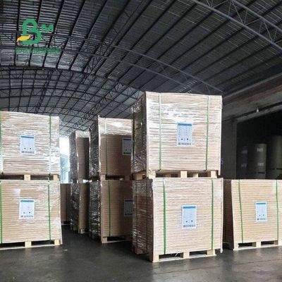 60G 70G 80G 90G Kertas Cetak Offset Woodfree Polos Tanpa Lapisan Putih 24 * 38&quot;