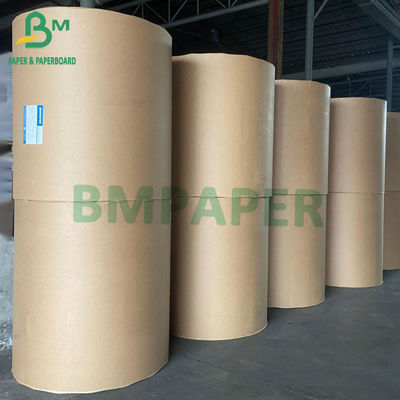 120gsm 160gsm Papan Kertas Stok Piala PE Dilapisi Satu Sisi 10g 12g 15g 18g 20g