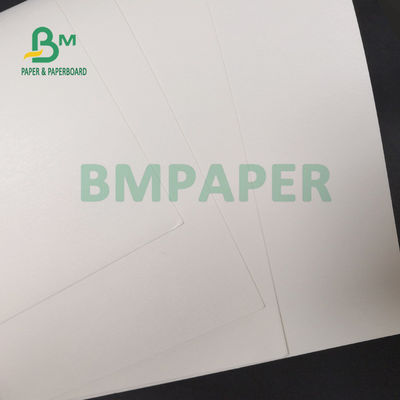 100% Pulp Kayu 210g + 15g Lembar Kertas Dilapisi PE Untuk Cangkir Minum 720mm 880mm