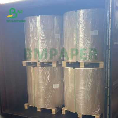 100% Pulp Kayu 210g + 15g Lembar Kertas Dilapisi PE Untuk Cangkir Minum 720mm 880mm