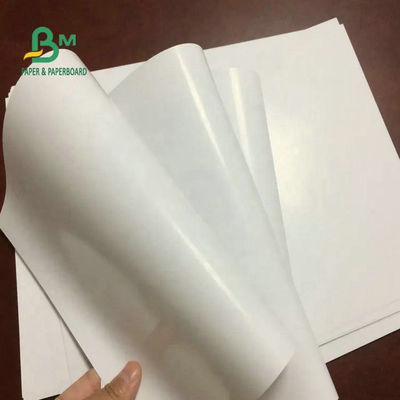 115gram 120gram 157gram Shiny 2 Side Couche Paper / C2S Art Paper / C2S Roll