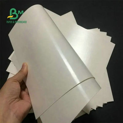 Kualitas makanan 260 + 15 PE Coated Cup Stock Paper White For Coffee Cup