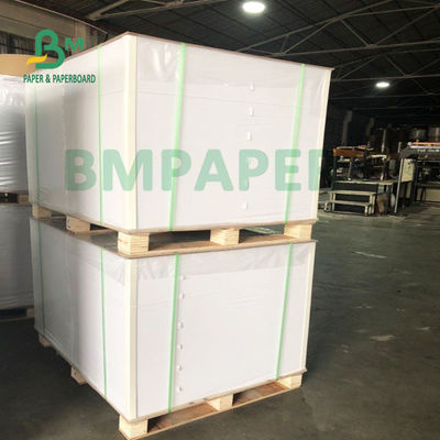 200g + 20g PE Cup Base Paper Folding Resistance Tahan Air