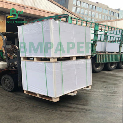 200g + 20g PE Cup Base Paper Folding Resistance Tahan Air