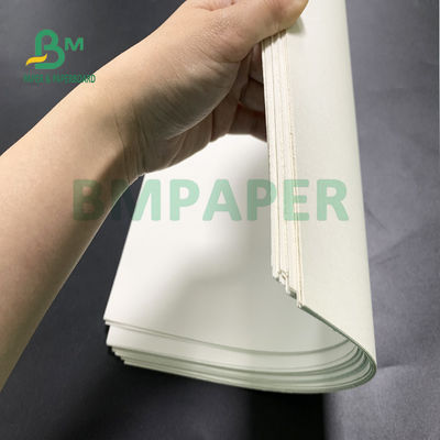 Kualitas makanan Papan Kertas Stok Piala Untuk Mangkuk Mie 700mm X 1000mm
