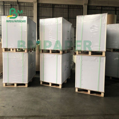 Kualitas makanan Papan Kertas Stok Piala Untuk Mangkuk Mie 700mm X 1000mm