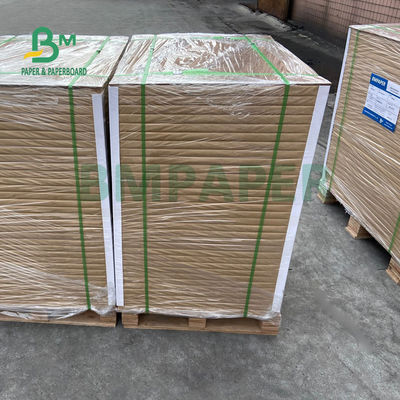 325gsm 350gsm White Freezer Paper Roll Untuk Kemasan Makanan Beku 37 &quot;X 25&quot; Massal Tinggi