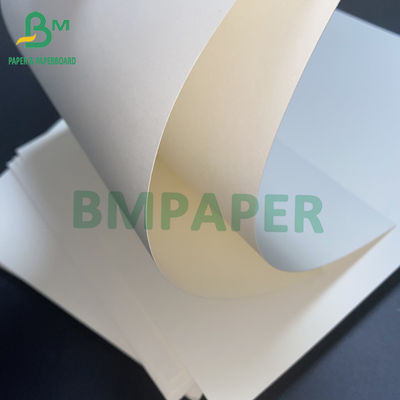 15g PE Coated 1 Side Papan Kertas Stok Piala Untuk Hot Drink Cup Cold Drink Cup