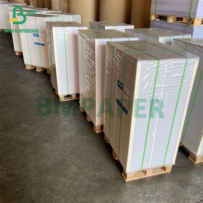 15g PE Coated 1 Side Papan Kertas Stok Piala Untuk Hot Drink Cup Cold Drink Cup