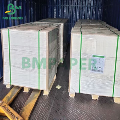15g PE Coated 1 Side Papan Kertas Stok Piala Untuk Hot Drink Cup Cold Drink Cup