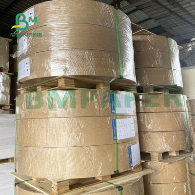 Papan Kertas Pembungkus Makanan Kualitas makanan Curah Tinggi Satu Sisi Dilapisi Ramah Lingkungan 325gsm