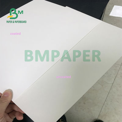 Kertas Pembungkus Makanan 635mm X 914mm, Kertas Seni C1S Tahan Air Untuk Kotak Bawa Pulang