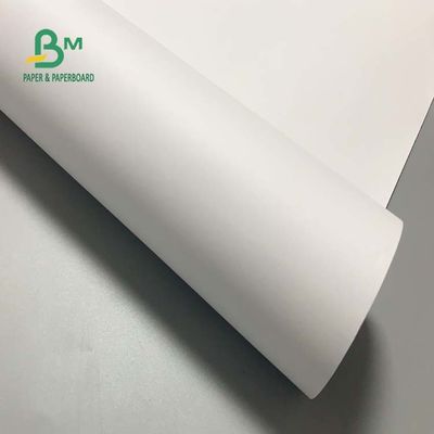 Plotter Paper 36'' x 300ft On 2'' Core Wide Format CAD Paper Roll