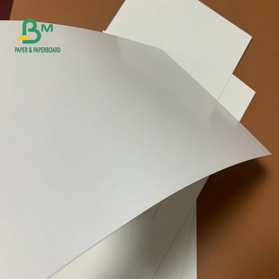White Top White Back SBS Paper Board 190g 210g Untuk Kotak Lipat