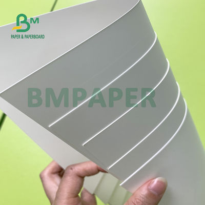 Kertas Sintetis Tahan Air yang Dapat Dicetak Pelarut Eko Untuk Kertas Poster