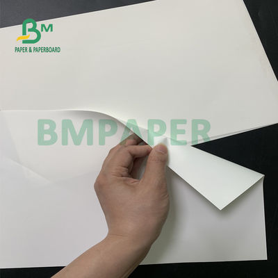 Kertas Sintetis PP 180um, Kertas Bukti Air Mata Tahan Air Untuk Periklanan Luar Ruang