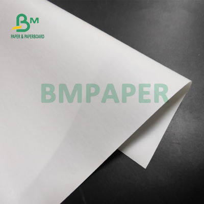 55gsm Jumbo Roll Thermal Paper Untuk Printer POS 565mm X 6000m