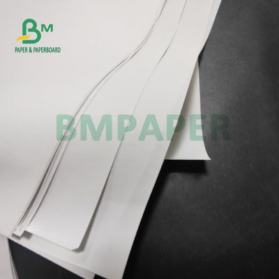 55gsm Jumbo Roll Thermal Paper Untuk Printer POS 565mm X 6000m