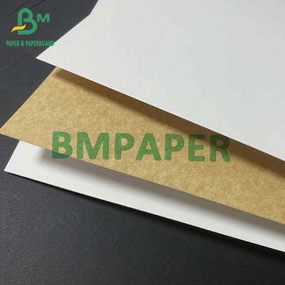 16PTS 20PTS Satu Sisi Karton Putih Kraft Kembali Untuk Kotak 90 X 125cm