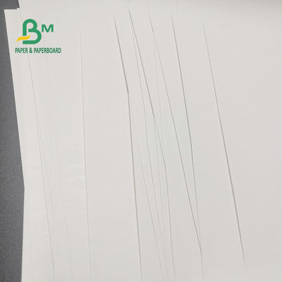 65gsm BPA Free Thermal Paper Roll Untuk Kasir Hapus Gambar 600mm X 9000m