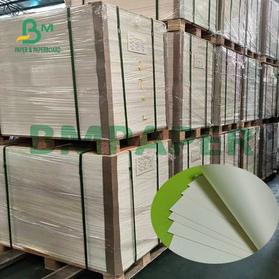 Natural White Papan Kertas Stok Piala 180g Satu Sisi PE Dilapisi Permukaan Halus