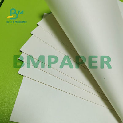 Natural White Papan Kertas Stok Piala 180g Satu Sisi PE Dilapisi Permukaan Halus