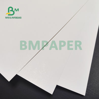 170gsm 190gsm C1S Ivory SBS Paper Board Untuk Garment Hangtags 30 X 40inch High Whiteness
