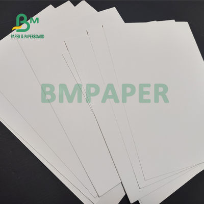 170gsm 190gsm C1S Ivory SBS Paper Board Untuk Garment Hangtags 30 X 40inch High Whiteness