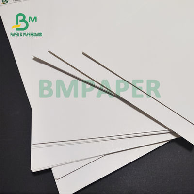 170gsm 190gsm C1S Ivory SBS Paper Board Untuk Garment Hangtags 30 X 40inch High Whiteness