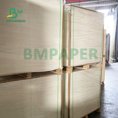 170gsm 190gsm C1S Ivory SBS Paper Board Untuk Garment Hangtags 30 X 40inch High Whiteness