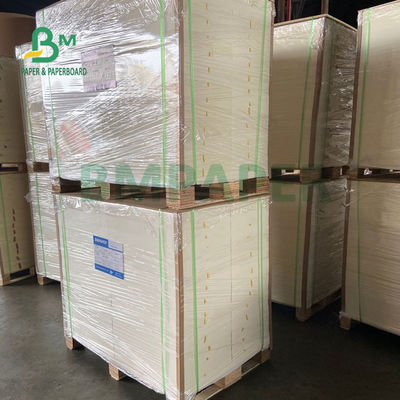 170gsm 190gsm C1S Ivory SBS Paper Board Untuk Garment Hangtags 30 X 40inch High Whiteness