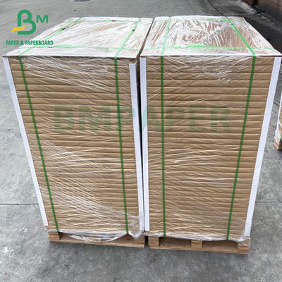 Kertas Sutra Gloss 100lb, Kertas Stok Kartu Dilapisi C2S Dua Sisi